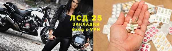 прущие грибы Балахна