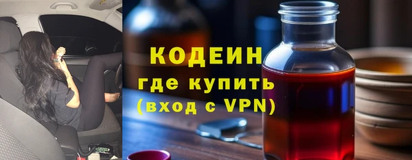 прущие грибы Балахна