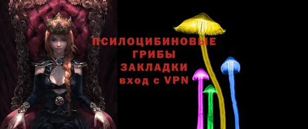 прущие грибы Балахна