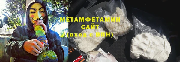прущие грибы Балахна