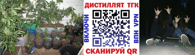 ТГК концентрат  Хилок 